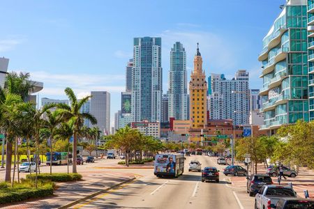 Miami Combo: City Tour, Biscayne Bay Cruise and Everglades Airboat Ride