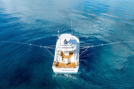 4-Hour Private Fishing Charter in the Riviera Maya