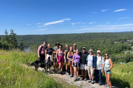 Oslo: Scenic Forest Hike with Dog & Local Guide