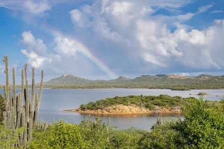 Private Bonaire Tour - All Highlights, Hidden Places, plus Lunch