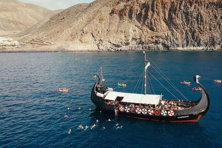 3h Viking Cruise with Drinks, Whales watching & Swimming Time