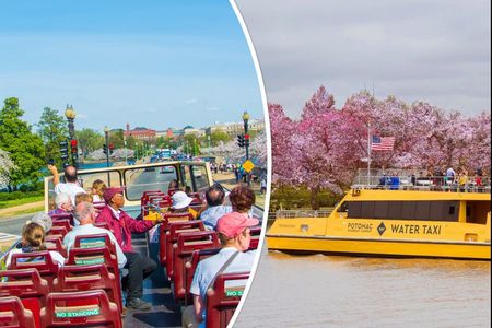 All-Day Water Taxi Pass & Hop-on Hop-off Bus Tour