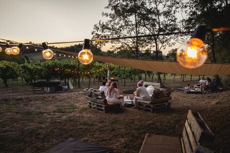 Private wine experience with the winegrower in Orvieto