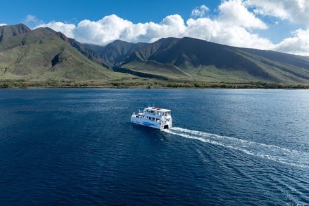 Maui Magic Adventure Snorkel: Molokini Crater and Turtle Stop