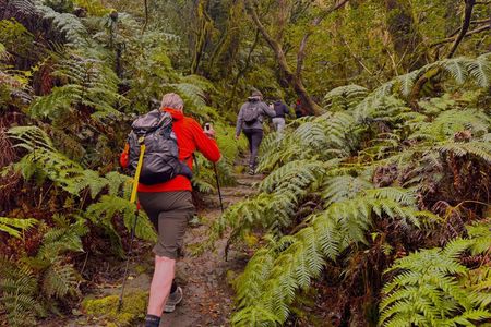 Anaga Mountains & Enchanted Forest, Tenerife Hiking Tour
