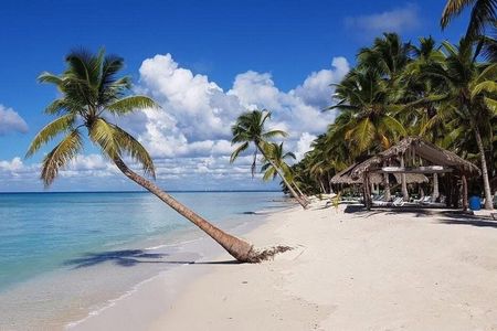 Beautiful Saona Island