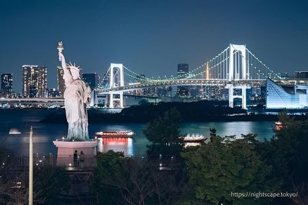 Tokyo Private Night Tour by Van English Chauffeur