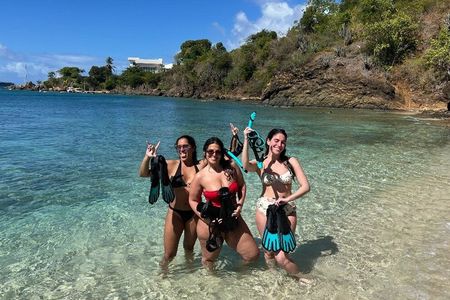 Snorkel, Sea Turtles & Beach Bar Escape Half Day PRIVATE Boat