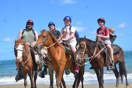 Amazing 3-Hour Horseback Riding at Puerto Plata with Pickup