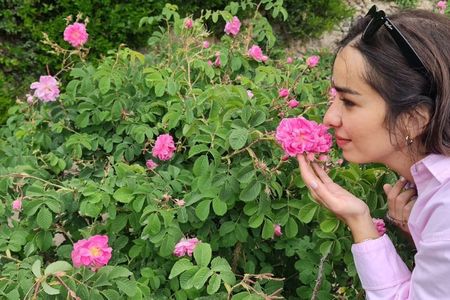 5-Days Private Oman Tour – Mountains, Deserts & Coastline