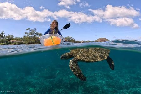 Turtle Town Clear Kayak & Snorkel Tour