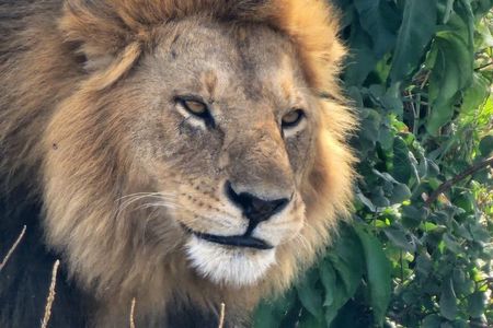2 Day Safari in Tarangire National Park and Ngorongoro Crater