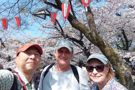 Best of Tokyo Private Tour for Yokohama Cruise Passengers