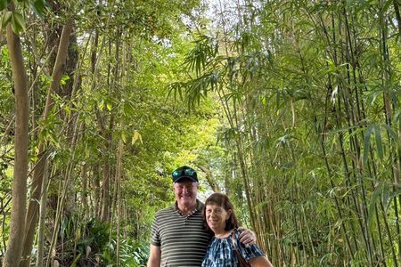 Hidden Gems of Kagoshima: Small-Group Zen Walking Tour