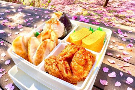 Bento Masterclass & Authentic Local Home Life Experience