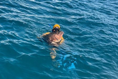 Half day Private Reef Spearfishing in Manuel Antonio