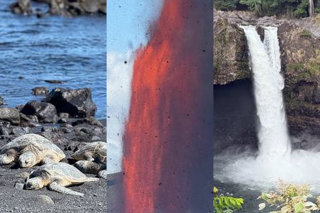 Big Island: Hawaii Volcanoes, Waterfalls and Hilo Adventure