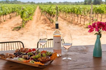 Mallorca Winery tour and tasting of 5 wines with tapas