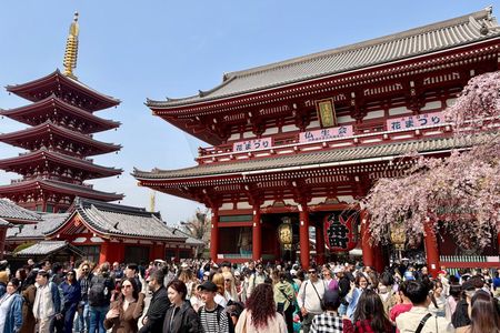 Tokyo Private Highlights Tour by Car with Local Guide