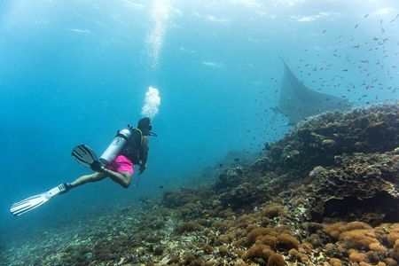From Semporna Si Amil Island Diving or Snorkeling Day Trip