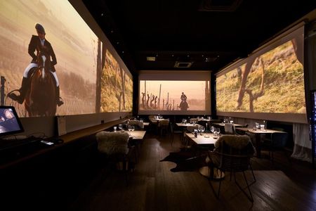 Wine tour, tasting and Alsatian meal - 100% immersive experience