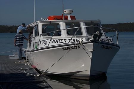 Old Sow Whirlpool and Whale Tours