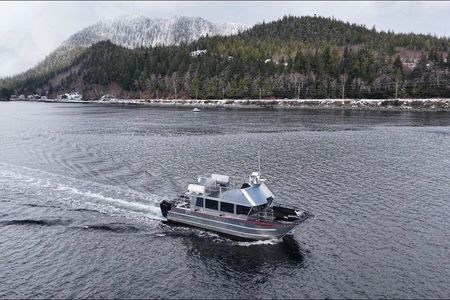 Whales and Lunch! Ketchikan's Premier Marine Mammal Viewing Tour