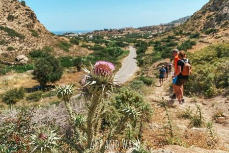 Karpathos Valley Walk in Pigadia - easy guided walking tour