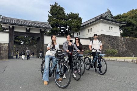 Tokyo Guided E-Bike Tour Hidden Streets and Local Neighborhoods