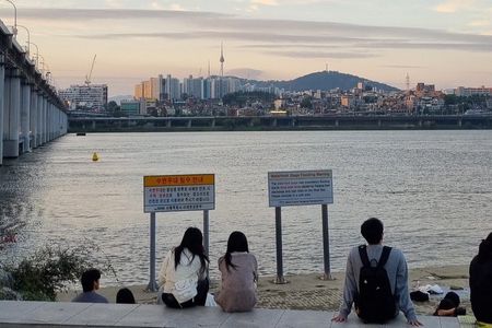 Tradition Meets Trendy Seoul: Palace, Ikseondong & Han River Tour
