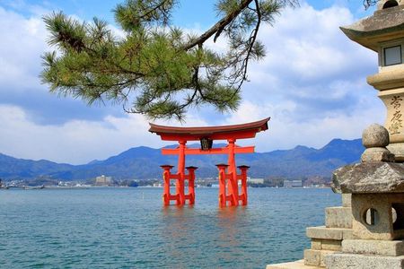 Miyajima 3 Hours Walking Tour with a Licensed Local Guide