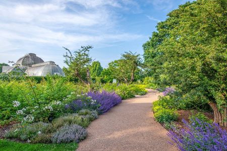 Kew Gardens Entrance Ticket