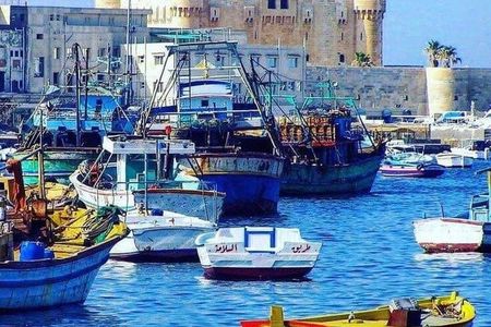 Alexandria trip from Cairo & Alexandria day Tour