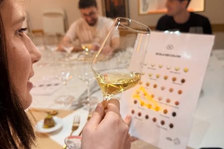 Wine Tasting and Food Pairing