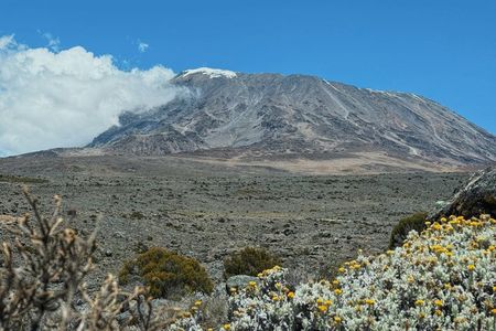 7 Day Kilimanjaro Climb Via Machame Route Whiskey Route