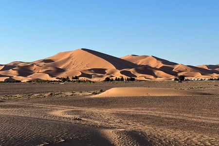 3-Day Desert Trip from Marrakech by 4x4: Camel Ride & Sahara Camp