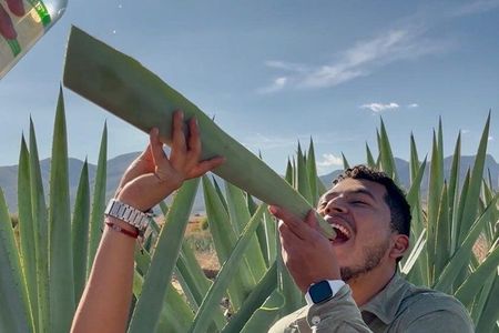 Experiencia: Mezcal, Pulque y tradición Oaxaqueña