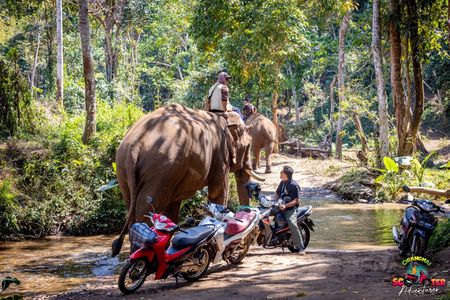 Scooter Adventure with elephants, views and FUN drive yourself