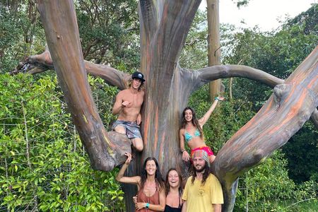 Half Day Private Road to Hana Tour with Pickup