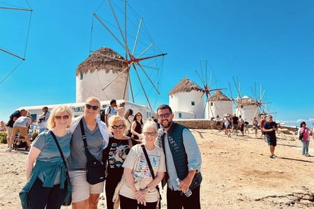 Mykonos Half Day Highlights - 4 hour Private Tour