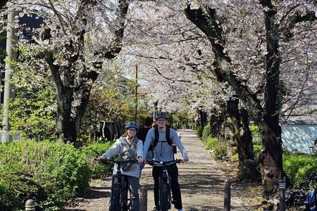 Mount Fuji Scenic EBike Tour for Cruise Travelers