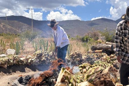Authentic Mezcal Experience Oaxaca Small Group Local Producers