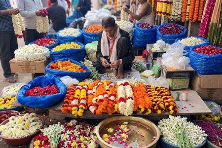 Discover Delhi Old and New in a Full Day Private Tour