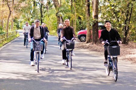 Kyoto E Bike Tour Higashiyama Temples Hidden Alleys