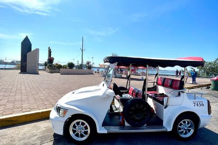Mazatlan Pulmonia Experience