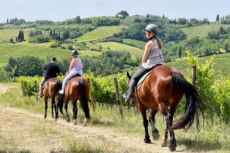Horseback Ride, visit S.Gimignano, Lunch wine Tasting &much more
