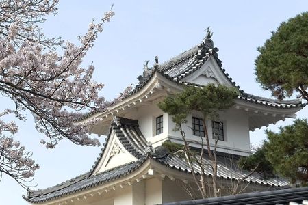 Kyoto Satoyama Cycling with Lunch and English Guide