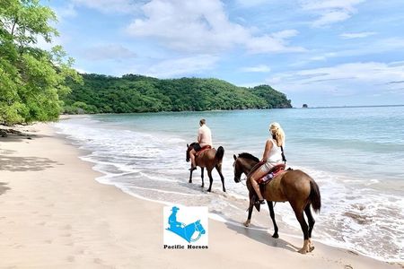 1 Hour Private Horseback Riding Tour in Playa Conchal