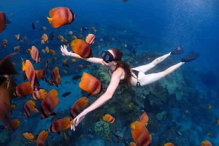 Bali Blue Lagoon Snorkeling with Private Transfer & Lunch