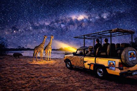 4x4 Bush Drive at Night with guided Stargazing